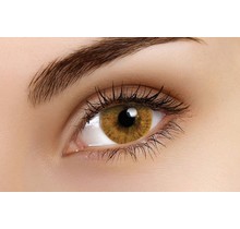 Basic Honey 14mm Fashion Colored Contact Lenses (3 months)