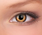 Twilight 14mm Crazy Colored Contact Lenses (1 year)