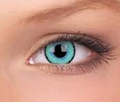 The Dexus 14mm Crazy Colored Contact Lenses (1 year)