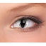 ColourVUE Grey Dragon 14mm Crazy Colored Contact Lenses (1 year)