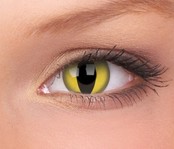 Cat's Eye 14mm Crazy Colored Contact Lenses (1 year) Cat's Eye 14mm Crazy Colored Contact Lenses (1 year)
