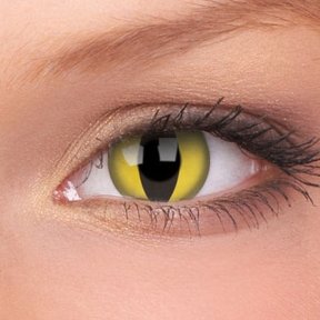 Cat's Eye 14mm Crazy kleurlenzen (1 jaar)