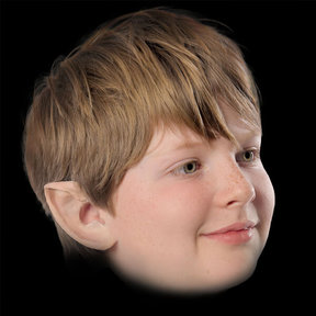 Elven oren jongen