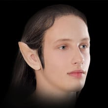 Elf ears male