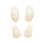 Werewolf Deluxe Vampire Fangs