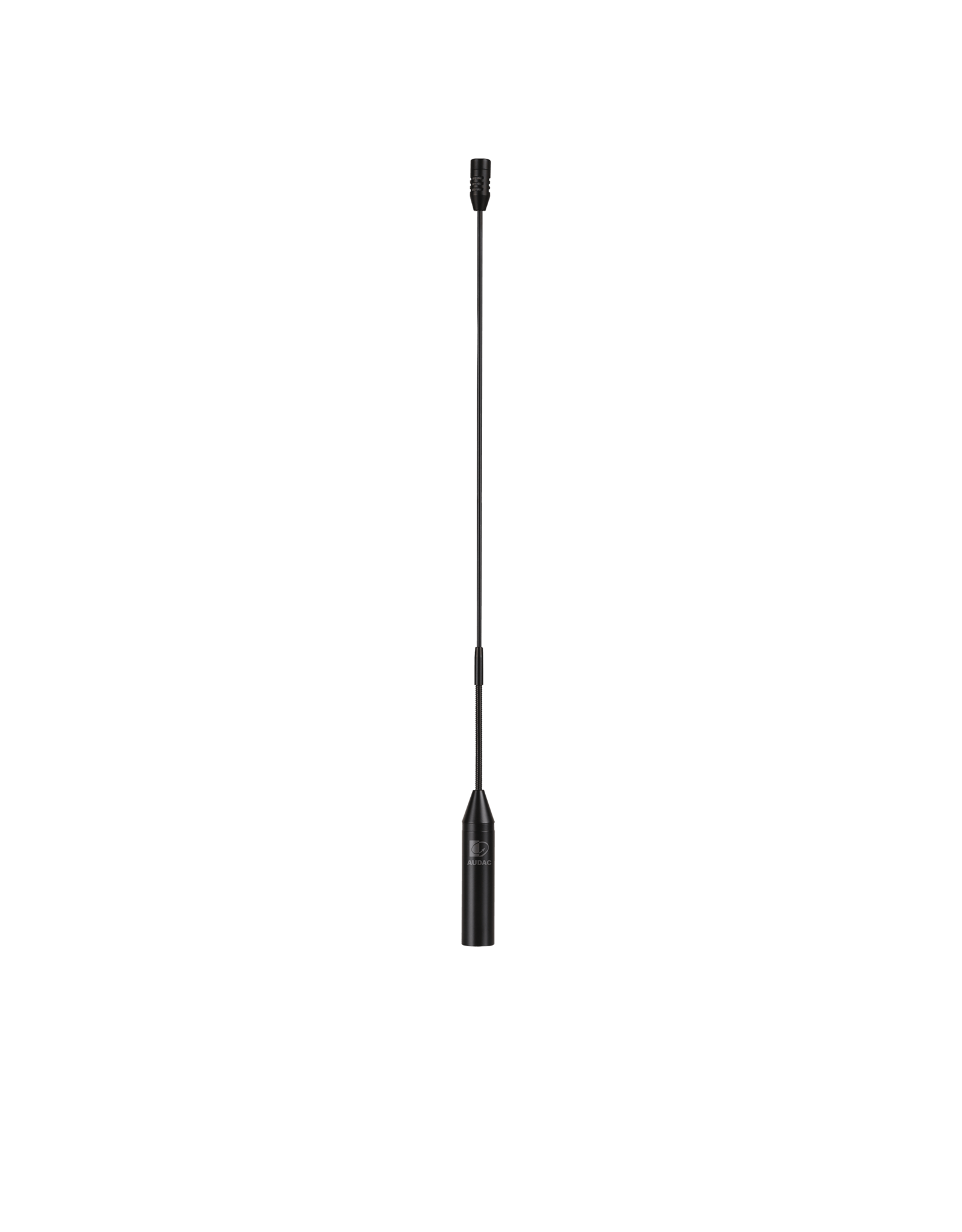 Audac Pipe-neck condenser microphone 55 cm version