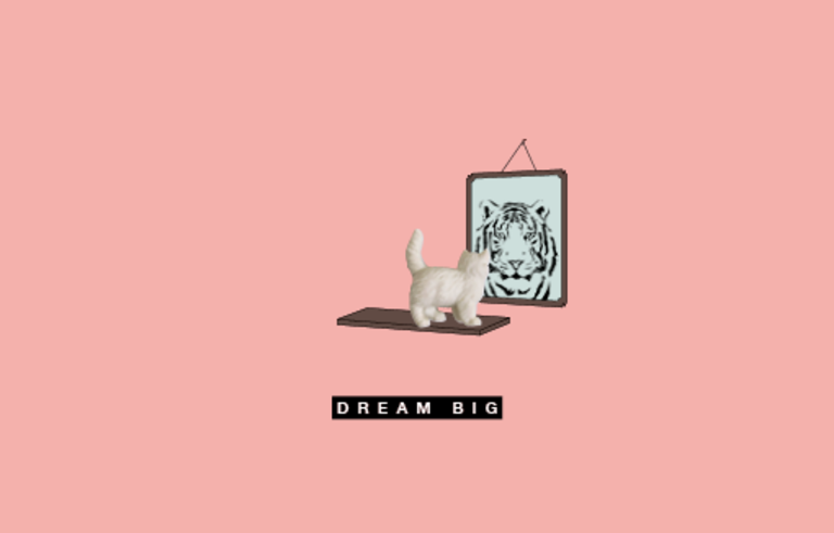 LEUKE KAARTJES LUCKIES KAART + GELUKSBRENGER - DREAM BIG