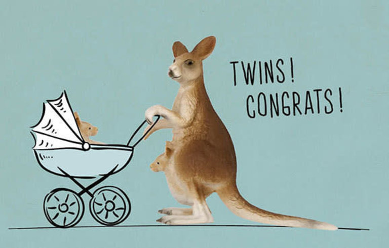 LEUKE KAARTJES FAB KAAART KANGOEROE - TWINS CONGRATS