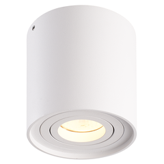 Spot LED – Blanc – Inclinable – Luminosité réglable – Rond – IP20