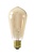 Calex Ampoule Connectée Lamp Gold - E27 - 7W - 806 Lumen - 1800K - 3000K - Lampe Vintage