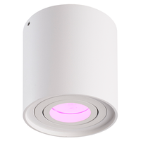 Lampesonline Spot LED WIFI – Blanc – Inclinable – Luminosité réglable – Rond – 5W - RGB+CCT - IP20