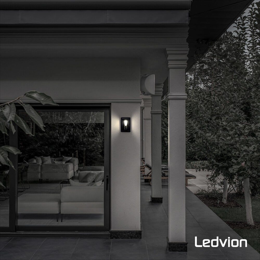 Ledvion Applique Murale Industriel Extérieure LED - Lyra Noir - E27 - Verre