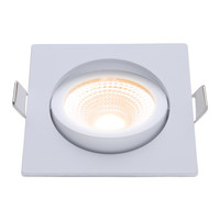 EcoDim Spots Encastrables LED Blanc - 5W - IP54 - 2000K-3000K - Inclinable - Carré