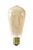 Lampe rustique à filament de verre à LED Calex 3,5W - 250 Lm - E27  Gold 2100K - Lampe Vintage