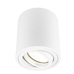 Spot LED Dimmable - Rond - Blanc - 5W - 2700K - Inclinable - IP20