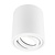 Spot LED Dimmable  - Rond - Blanc - 5W - 6500K - Inclinable - IP20