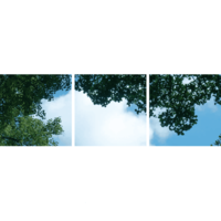 Panneau LED Ciel - Plafond Photo Nuage et Forêt - 3 Panneaux - 595x595 Lampesonline Panneau LED Ciel - Plafond Photo Nuage et Forêt - 3 Panneaux - 595x595