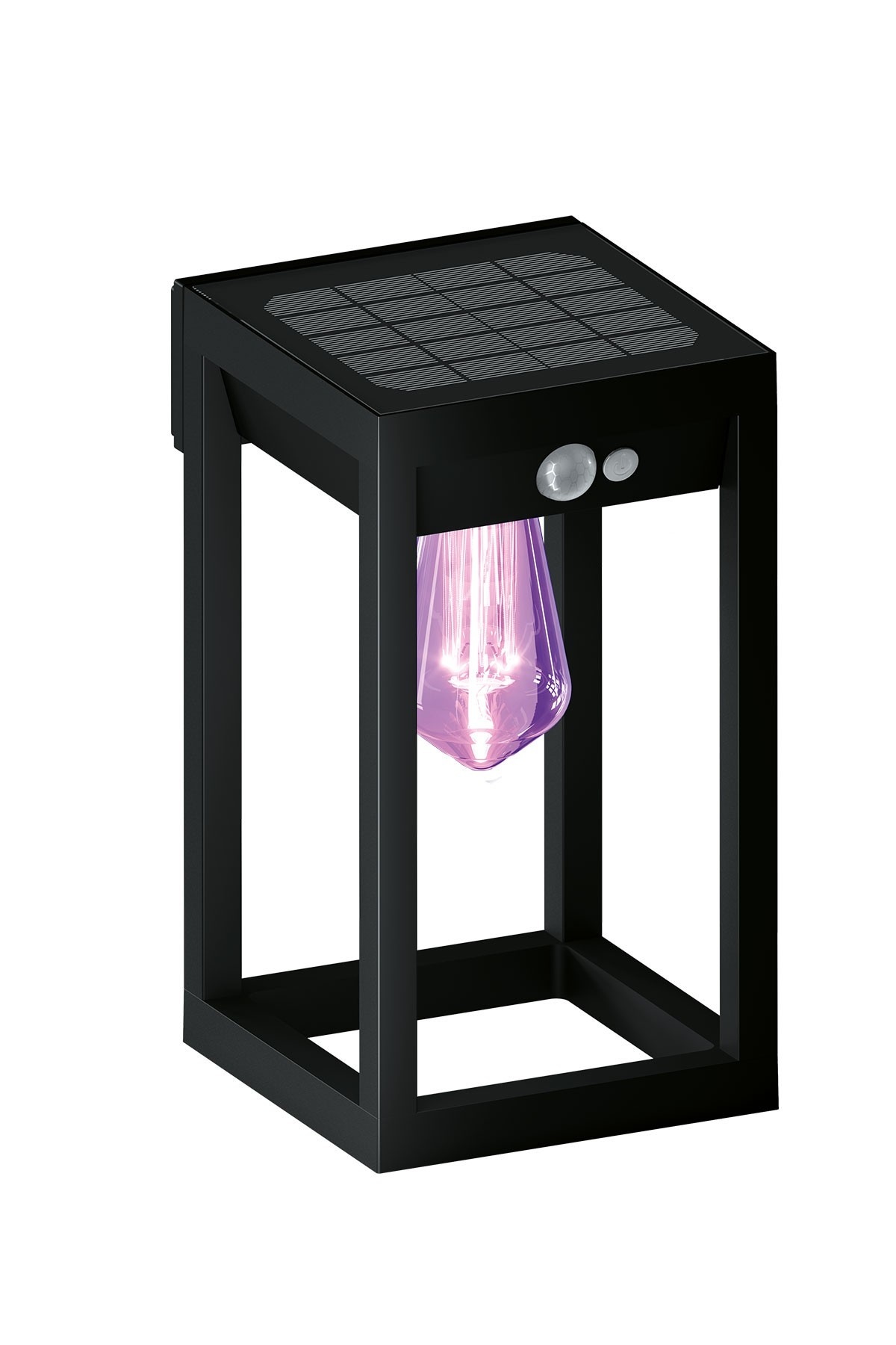 CALEX Smart Outdoor Applique Solaire Connectée LED Pour Extérieur, Contrôlable Via App, Compatible Alexa, Google Home Et Raccourcis Siri, Détecteur De Mouvement, Noir