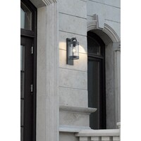 Trio Lighting Applique Murale d'extérieur LED avec Capteur Crépusculaire - E27 - IP44 - Sambesi - Anthracite