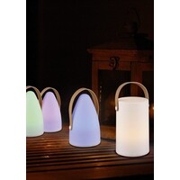 Trio Lighting Lampe de Table Rechargeable d'extérieur LED avec port USB -  20,5 cm - 1W - IP44 - Aruba - Blanc