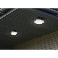 Trio Lighting Plafonnier d'extérieur LED - Hondo - 3000K - 3,5W - IP54 - Anthracite