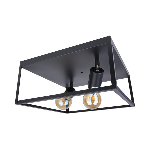 Lampesonline Plafonnier LED - Leduxa - Noir - Carrée - 2x Raccord E27 Filament - 8W