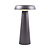 Lampe de Table LED Arcello - 2.8W - 2700K - IP54 - 300 Lm - Anthracite