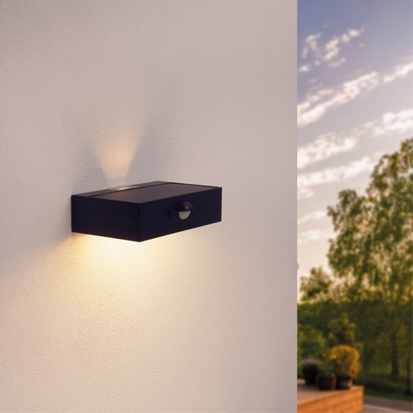 Ledvion Applique Solaire avec Détecteur de Mouvement - Noir - 3W - 3000K