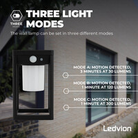 Ledvion Applique Murale Solaire LED avec Capteur - Noir - IP44