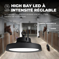 Ledvion High Bay LED 80W - Classe énergétique A - 120° - 192 Lm/W - 4000K - IP65 - Dimmable