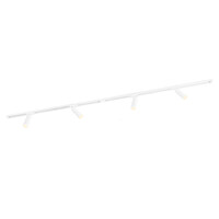 Ledvion 2m LED Spot sur rail - 4 Luminaires - Dimmable - Rail Monophasé - Blanc