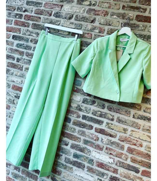 Mlnomy pants mint