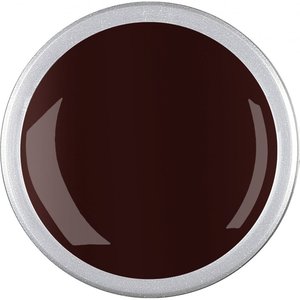 Astra Nails Astra Nails Newbies Colored Gel - So Chic 5gr Astra Nails Newbies Colored Gel - So Chic 5gr