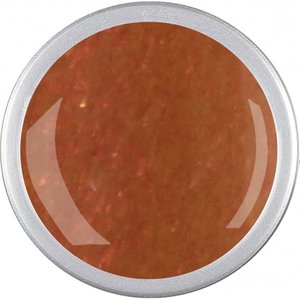 Astra Nails Astra Nails Newbies Colored Gel - RUSTGLIT 5gr Astra Nails Newbies Colored Gel - RUSTGLIT 5gr