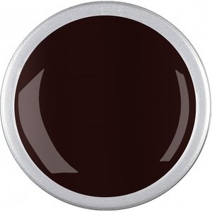 Astra Nails Newbies Colored Gel - Glamour 5gr