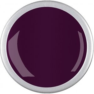 Astra Nails Colored Gel  - VERTIGO 5gr