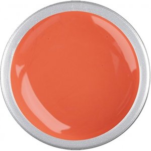 Astra Nails Colored Gel  - SALMON 5gr