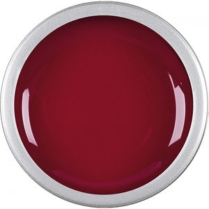 Astra Nails Colored Gel  - ER RIOJA 5gr