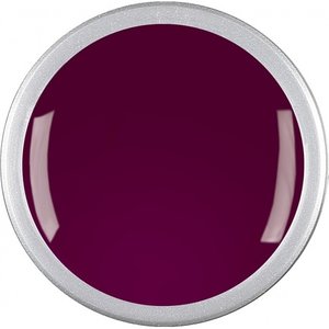 Astra Nails Colored Gel  - ER MAROON PINK 5gr