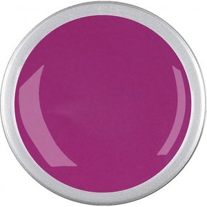 Astra Nails Colored Gel  - LILA SUMMER 5gr