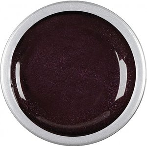 Astra Nails Colored Gel  - ER EGGPLANT 5gr