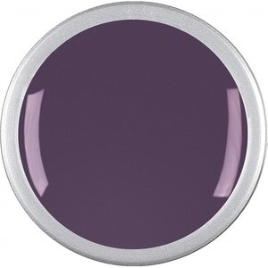 Astra Nails Colored Gel  - ER DIVA 5gr