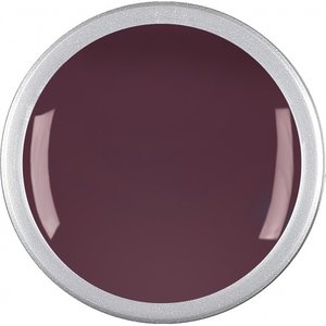 Astra Nails Colored Gel  - CHESTERFIELD 5gr