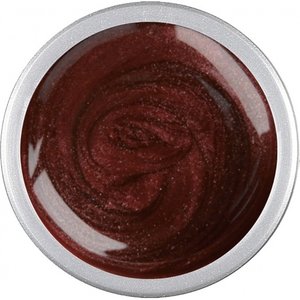 Astra Nails Colored Gel  - BRONX 5gr