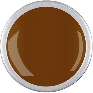 Astra Nails Colored Gel  - CARAMEL 5gr