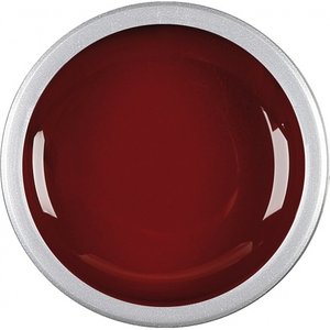 Astra Nails Colored Gel  - ER CABERNET 5gr