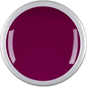 Astra Nails Colored Gel  - ER BOUDOIR 5gr