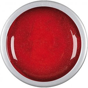 Astra Nails Colored Gel  - ER ANJOU 5gr