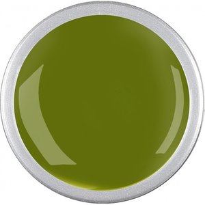 Astra Nails Colored Gel  - ACID 5gr