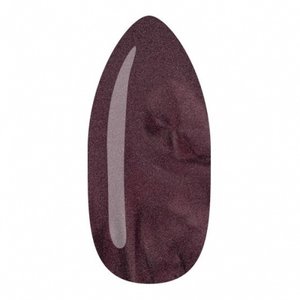 Astra Nails DeluxLac - PERFECTION 14ml